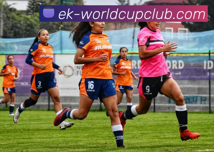 世界杯在线投注APP 高清赛事图